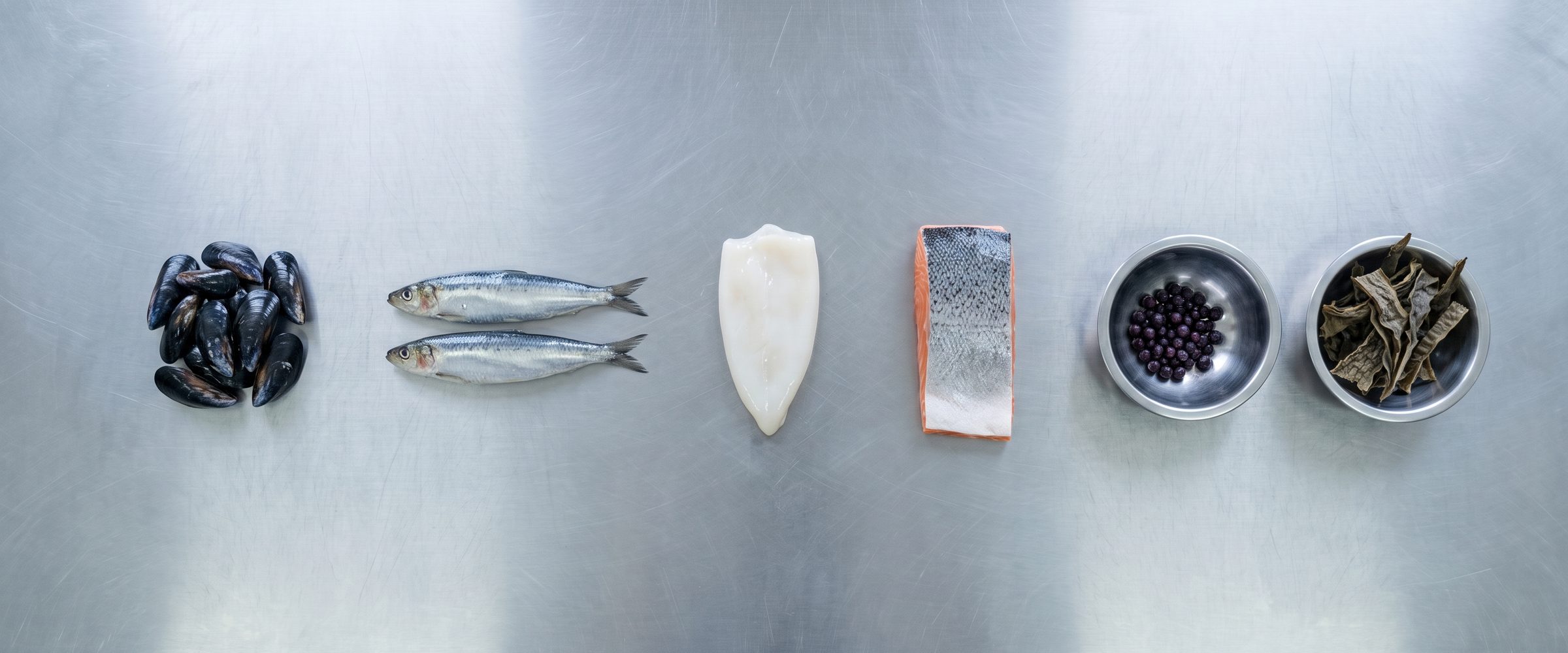 Materia prima fresca del mar de Chile sobre acero inoxidable: choritos, sardinas, jibia, salmón, maqui y cochayuyo